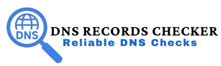 DNS Record Checker Logo